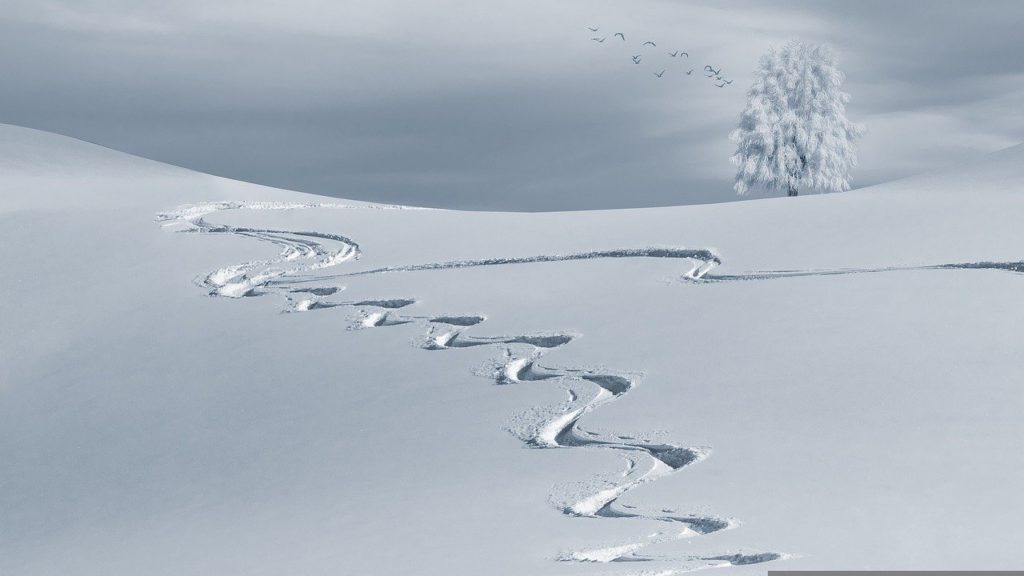 ski tracks in snow